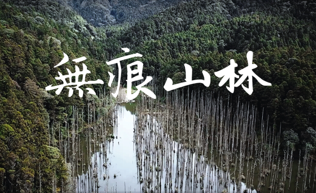 無痕山林 LNT 進階實踐：如何在營地執行百分之百的廢棄物零殘留，守護山野淨土